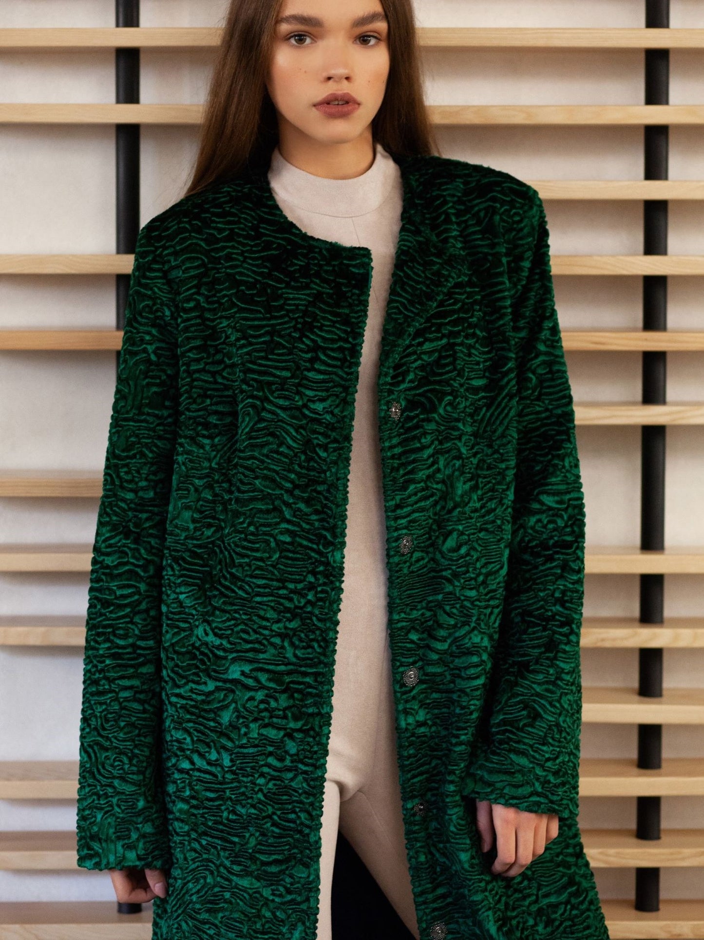 Luxury Fur
Luxury Coat
Astrakhan Fur
Women Coats
Luxury Gift
Emerald Fur Coat
Green Fur Coat
Eco Fur Coat
Elegant Women Coat
Autumn Coats
Cold Fall Jacket
Beautiful Women Coat
Winter Coats